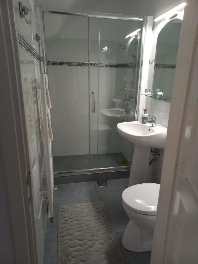 Enjoy Apartment Sibiu Bagian luar foto