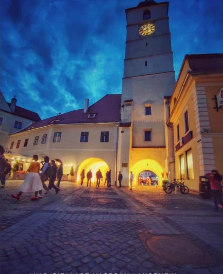 Enjoy Apartment Sibiu Bagian luar foto