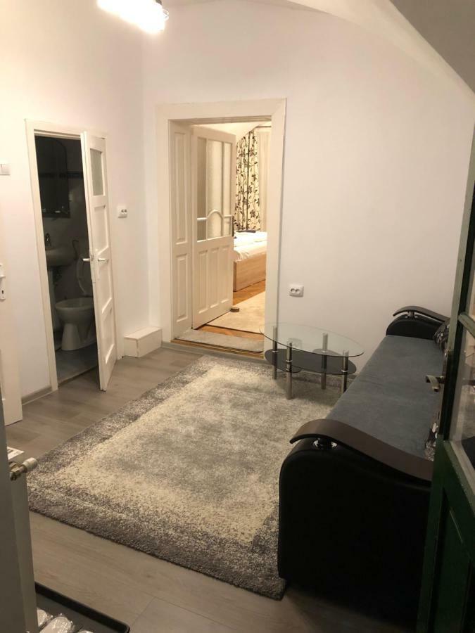 Enjoy Apartment Sibiu Bagian luar foto