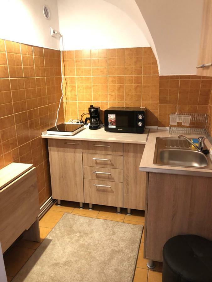 Enjoy Apartment Sibiu Bagian luar foto